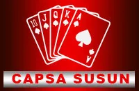 capsa susun